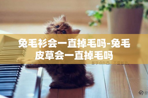 兔毛衫會一直掉毛嗎-兔毛皮草會一直掉毛嗎