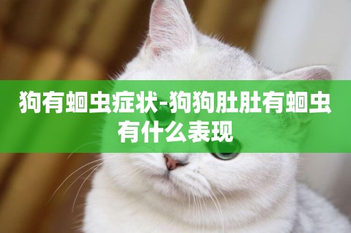 狗有蛔蟲癥狀-狗狗肚肚有蛔蟲有什么表現