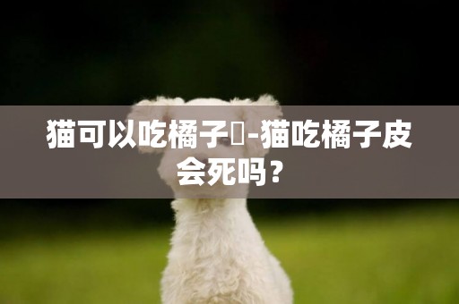 貓可以吃橘子嗎-貓吃橘子皮會死嗎？