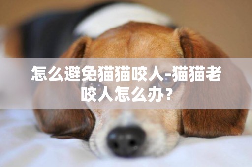 怎么避免貓貓咬人-貓貓老咬人怎么辦？