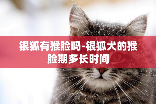 銀狐有猴臉嗎-銀狐犬的猴臉期多長時間