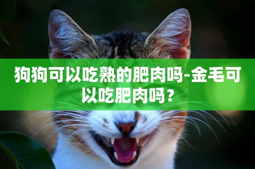 狗狗可以吃熟的肥肉嗎-金毛可以吃肥肉嗎？