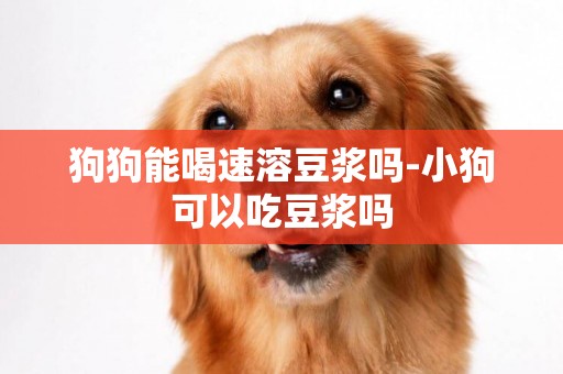 狗狗能喝速溶豆漿嗎-小狗可以吃豆漿嗎