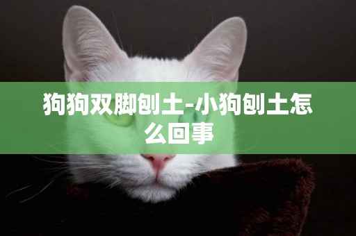 狗狗雙腳刨土-小狗刨土怎么回事