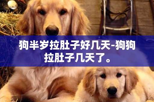 狗半歲拉肚子好幾天-狗狗拉肚子幾天了。