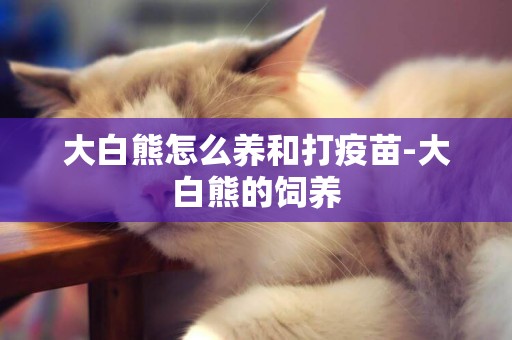 大白熊怎么養和打疫苗-大白熊的飼養