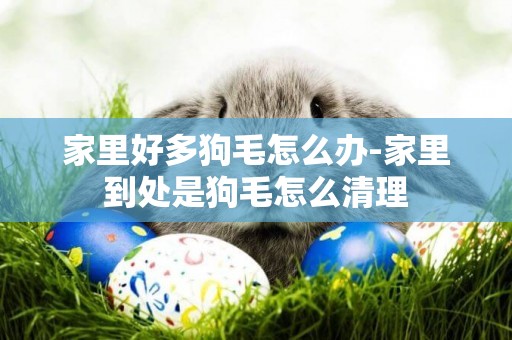 家里好多狗毛怎么辦-家里到處是狗毛怎么清理