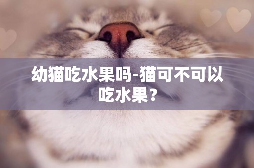 幼貓吃水果嗎-貓可不可以吃水果？