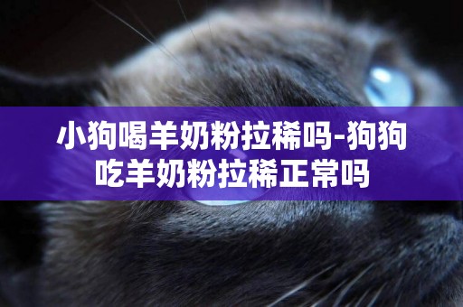 小狗喝羊奶粉拉稀嗎-狗狗吃羊奶粉拉稀正常嗎