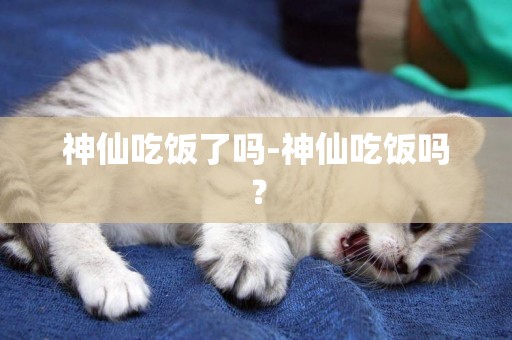神仙吃飯了嗎-神仙吃飯嗎？