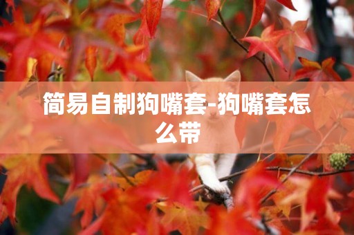 簡易自制狗嘴套-狗嘴套怎么帶