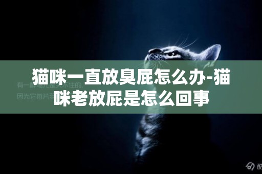 貓咪一直放臭屁怎么辦-貓咪老放屁是怎么回事