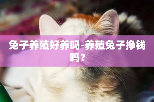 兔子養殖好養嗎-養殖兔子掙錢嗎？