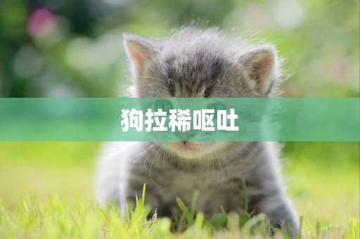 狗拉稀嘔吐