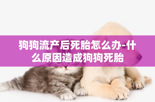狗狗流產后死胎怎么辦-什么原因造成狗狗死胎