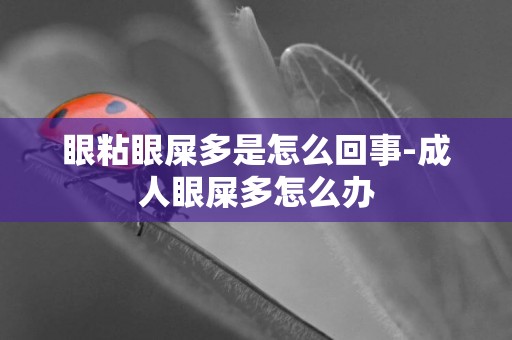 眼粘眼屎多是怎么回事-成人眼屎多怎么辦