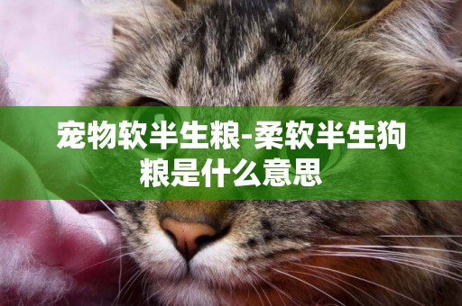 寵物軟半生糧-柔軟半生狗糧是什么意思