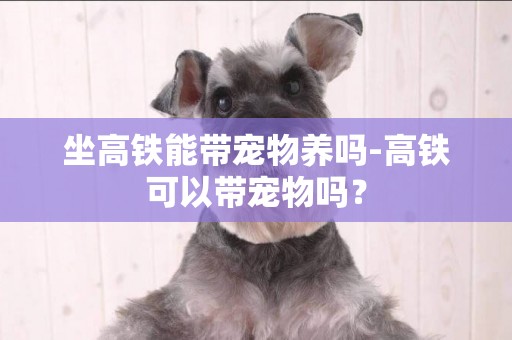坐高鐵能帶寵物養嗎-高鐵可以帶寵物嗎？