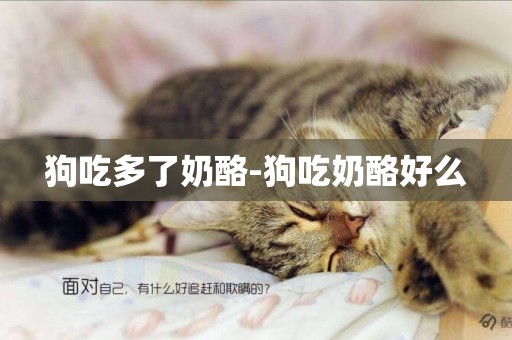 狗吃多了奶酪-狗吃奶酪好么
