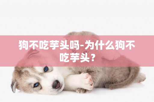 狗不吃芋頭嗎-為什么狗不吃芋頭？