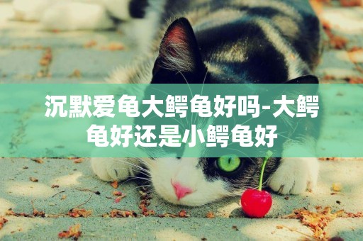 沉默愛龜大鱷龜好嗎-大鱷龜好還是小鱷龜好