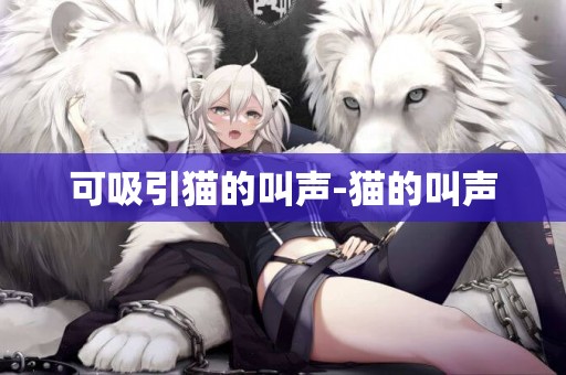 可吸引貓的叫聲-貓的叫聲