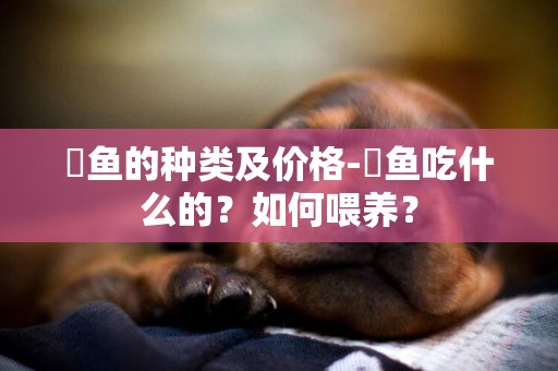 魟魚的種類及價格-魟魚吃什么的？如何喂養？