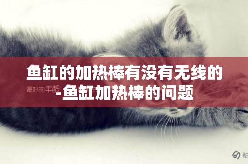 魚缸的加熱棒有沒有無線的-魚缸加熱棒的問題