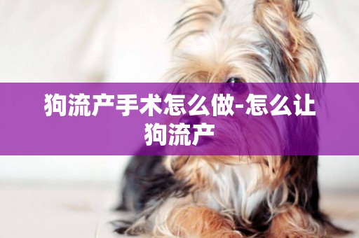狗流產手術怎么做-怎么讓狗流產
