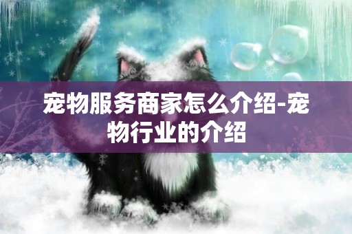 寵物服務商家怎么介紹-寵物行業的介紹
