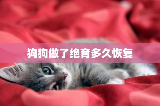 狗狗做了絕育多久恢復