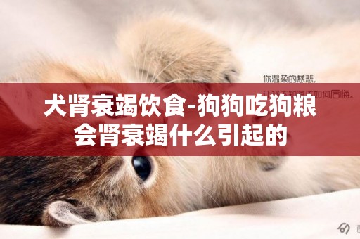 犬腎衰竭飲食-狗狗吃狗糧會腎衰竭什么引起的