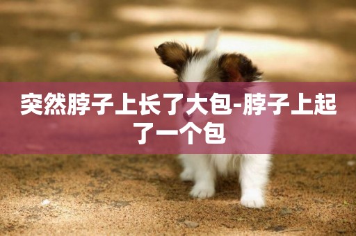 突然脖子上長了大包-脖子上起了一個包