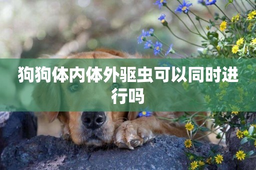 狗狗體內體外驅蟲可以同時進行嗎