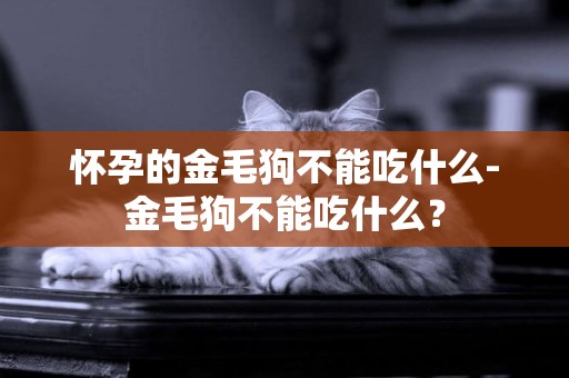懷孕的金毛狗不能吃什么-金毛狗不能吃什么？