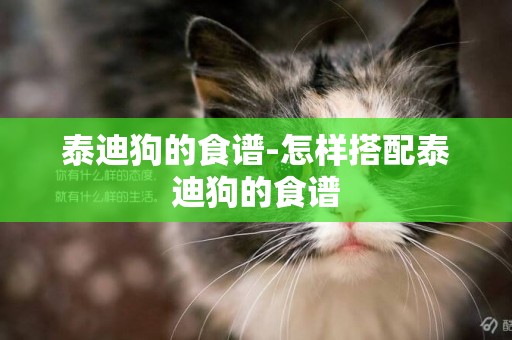 泰迪狗的食譜-怎樣搭配泰迪狗的食譜