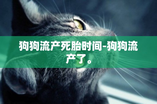 狗狗流產死胎時間-狗狗流產了。
