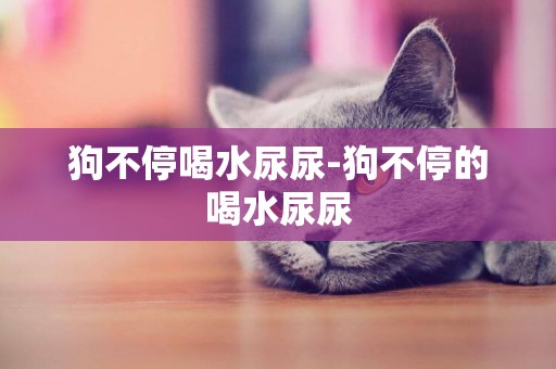 狗不停喝水尿尿-狗不停的喝水尿尿