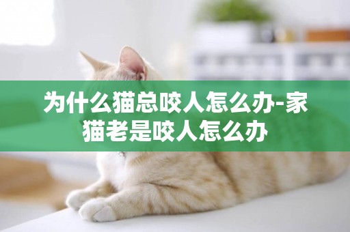 為什么貓總咬人怎么辦-家貓老是咬人怎么辦