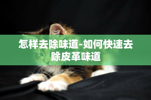 怎樣去除味道-如何快速去除皮革味道