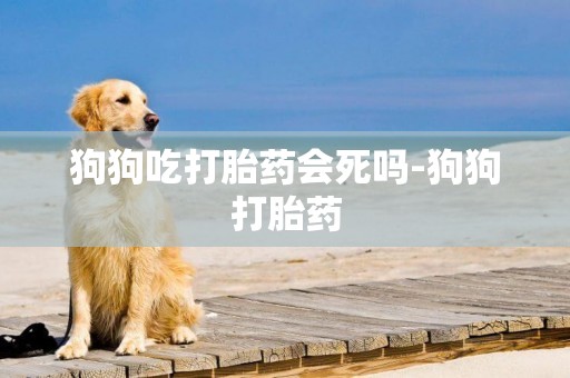 狗狗吃打胎藥會死嗎-狗狗打胎藥