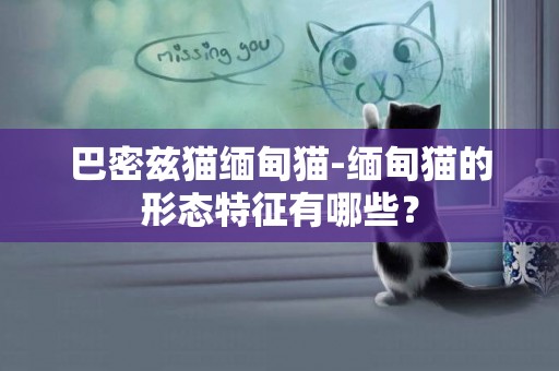 巴密茲貓緬甸貓-緬甸貓的形態特征有哪些？