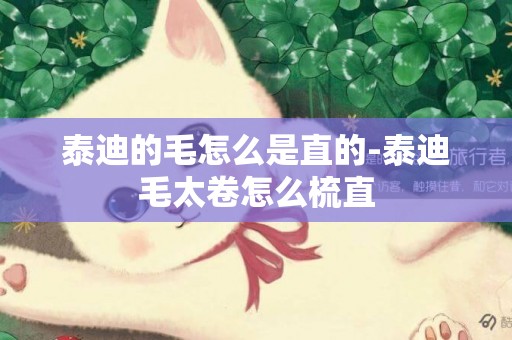 泰迪的毛怎么是直的-泰迪毛太卷怎么梳直