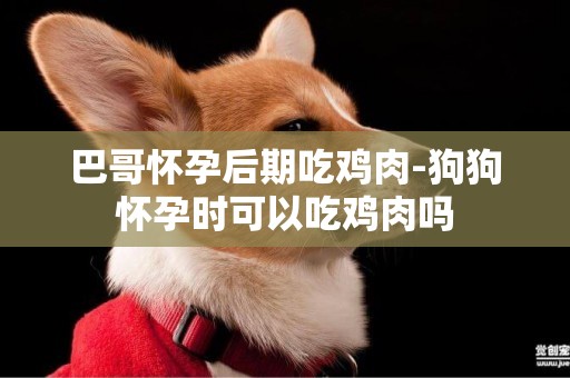巴哥懷孕后期吃雞肉-狗狗懷孕時可以吃雞肉嗎