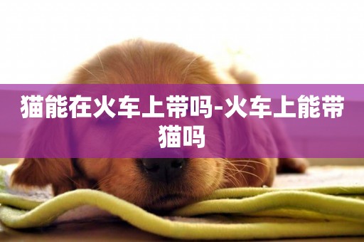 貓能在火車上帶嗎-火車上能帶貓嗎