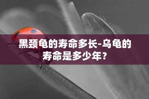 黑頸龜的壽命多長-烏龜的壽命是多少年？