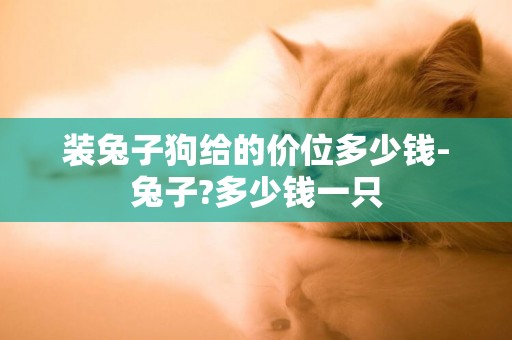 裝兔子狗給的價位多少錢-兔子?多少錢一只