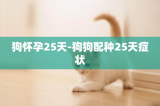 狗懷孕25天-狗狗配種25天癥狀