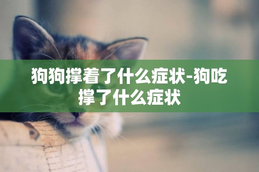 狗狗撐著了什么癥狀-狗吃撐了什么癥狀