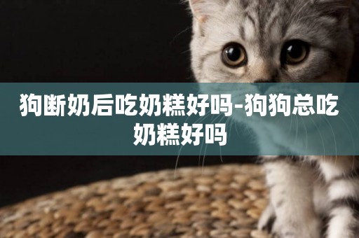 狗斷奶后吃奶糕好嗎-狗狗總吃奶糕好嗎